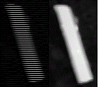 nanowire obtained by AFM imaging
